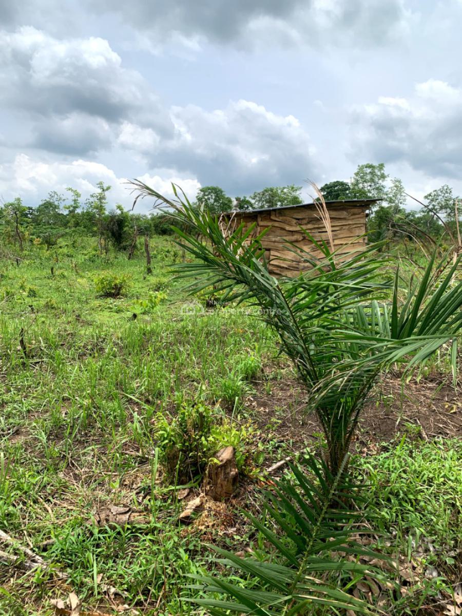 Secured Agricultural Land in Abeokuta, Abeokuta, Abeokuta North, Ogun, Mixed-use Land for Sale