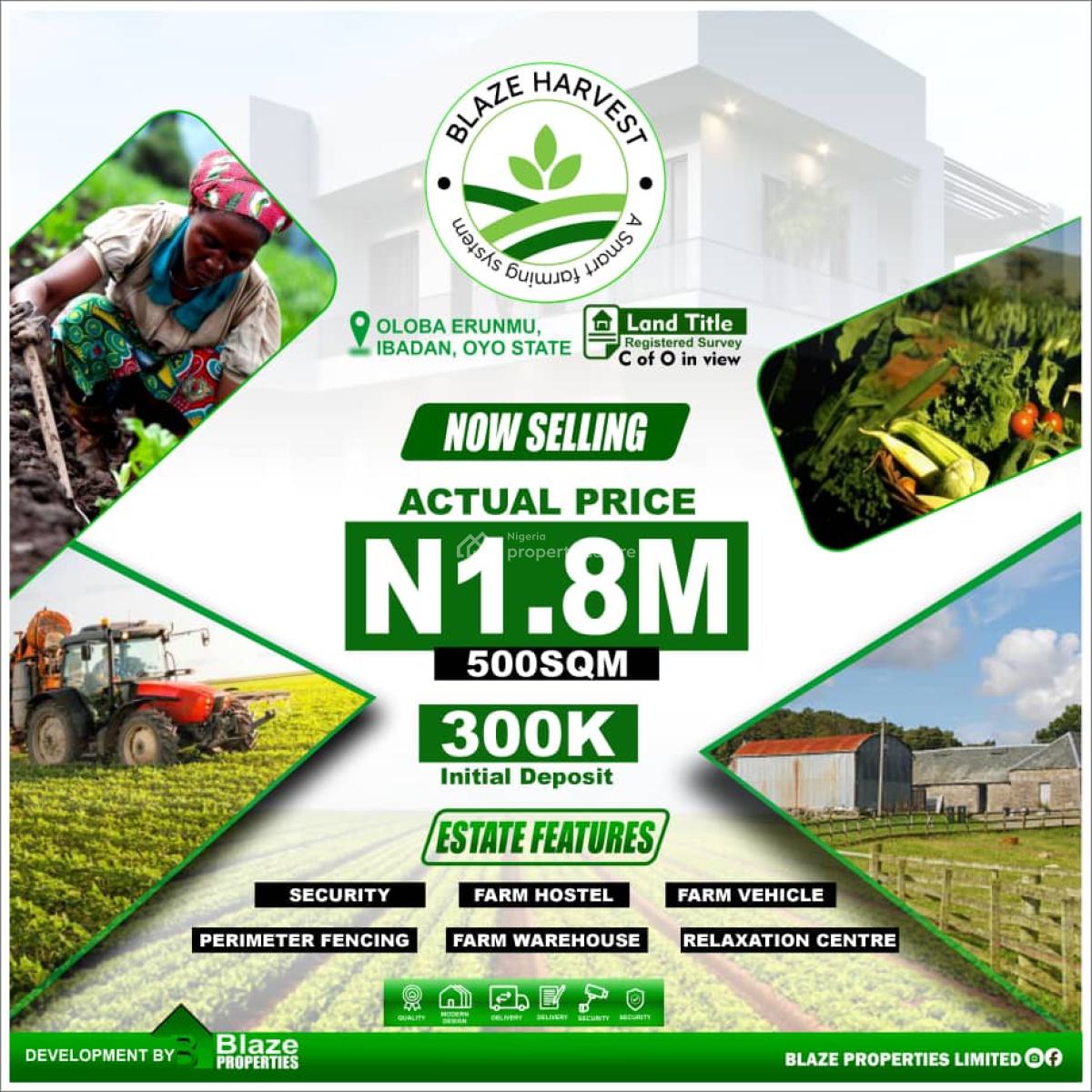 The Best and Most Affordable Farm Land, Oloba Erunmu, Ibadan, Oyo, Land for Sale