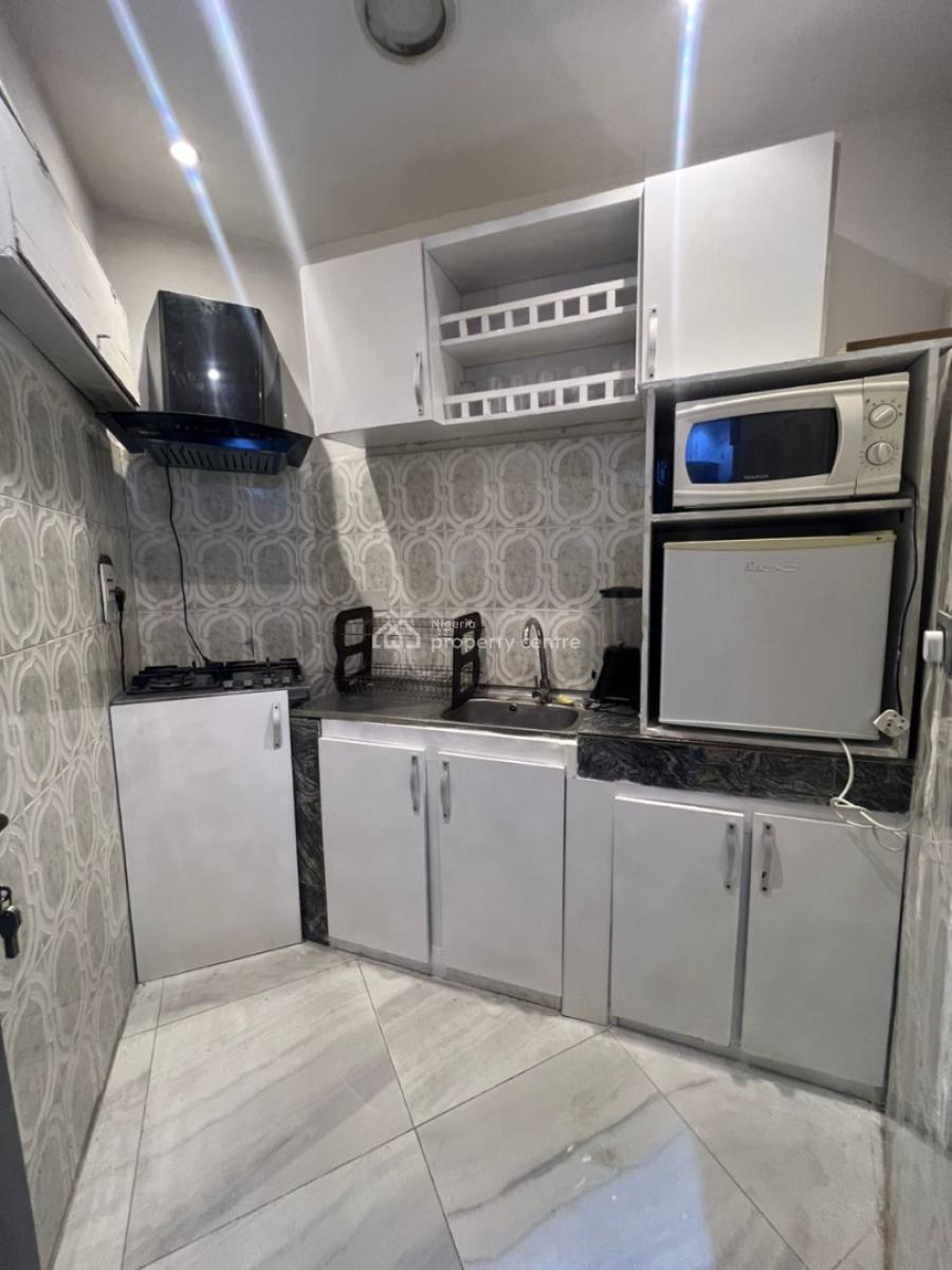 Fully Furnished 1 Bedroom Apartment + Ps 5, Parkview, Ikoyi, Lagos, Mini Flat (room and Parlour) for Rent