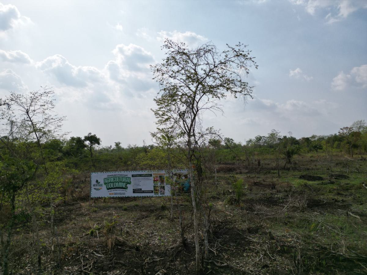 Most Affordable Fertile Farm Land with a Promo Offer, Off Funaab, Alabata Road, Odeda, Ogun, Mixed-use Land for Sale
