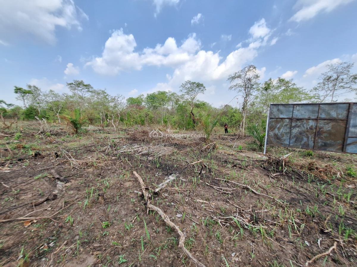 Promo!!! Affordable Farm Land with High Returns on Investment, Off Funaab Alabata Road, Abeokuta North, Ogun, Land for Sale