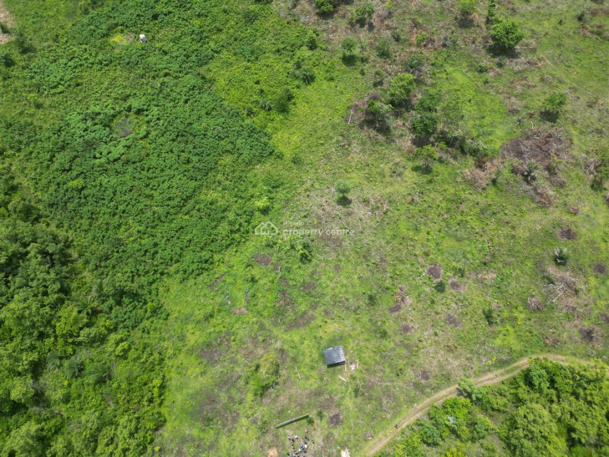 Invest in Fertile Farm Land Today and Earn Up to #1.5million Annually, Alabata, Abeokuta North, Ogun, Land for Sale