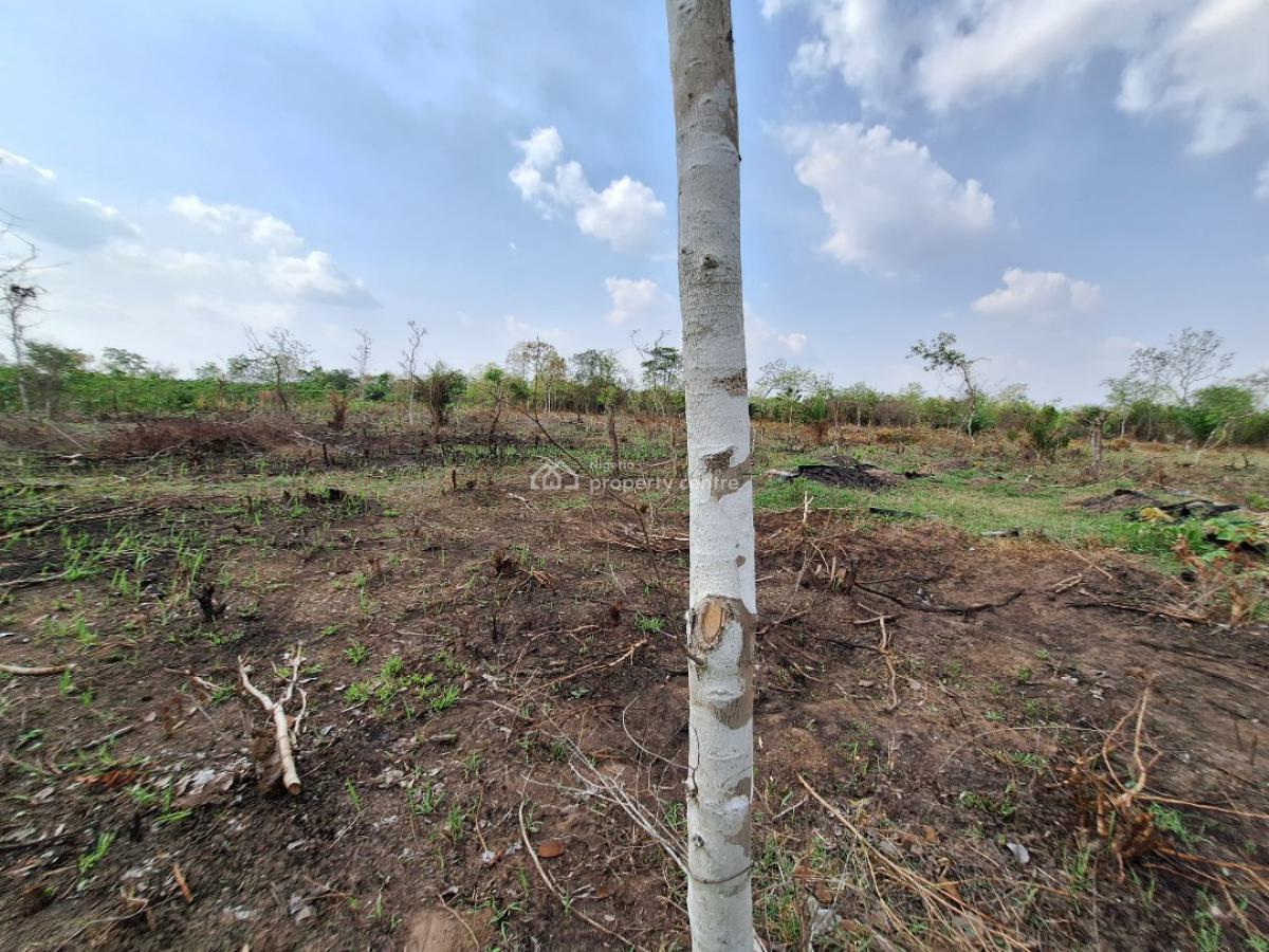Affordable Farmland with 24/7 Security and Irrigation Systems, Off Funaab, Alabata Road, Odeda, Ogun, Mixed-use Land for Sale
