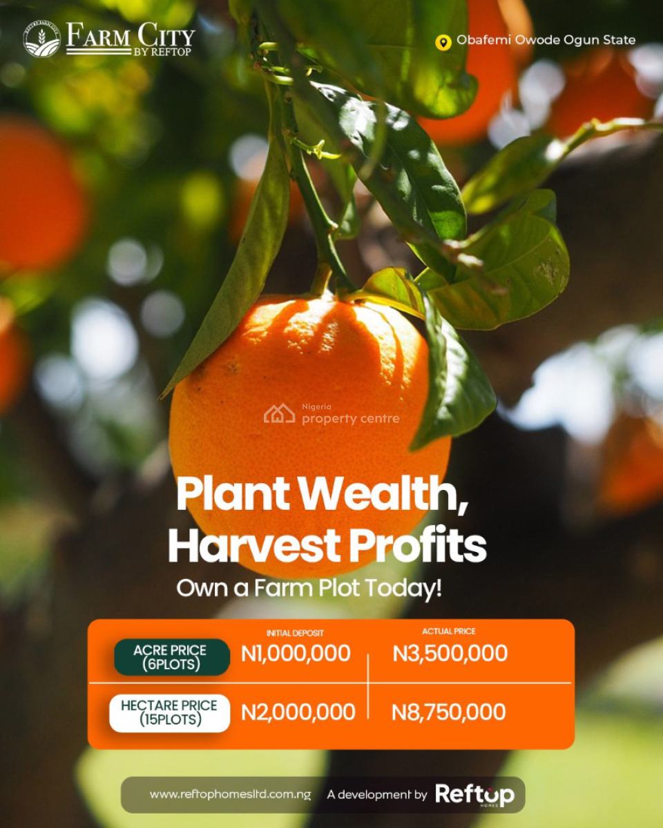 Most Profitable Farm Land, Ijere, Obafemi Owode, Ogun, Commercial Land for Sale