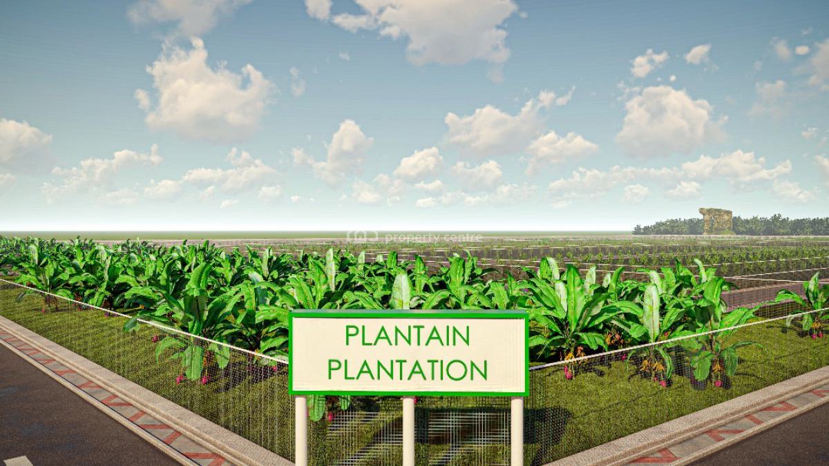 Plots & Acres of Fertile Farmland with a Promo Offer & a Payment Plan, Fertile Land Suitable for Crop Farming.buy 6 Plots , Get 1 Plot Free, Abeokuta North, Ogun, Land for Sale