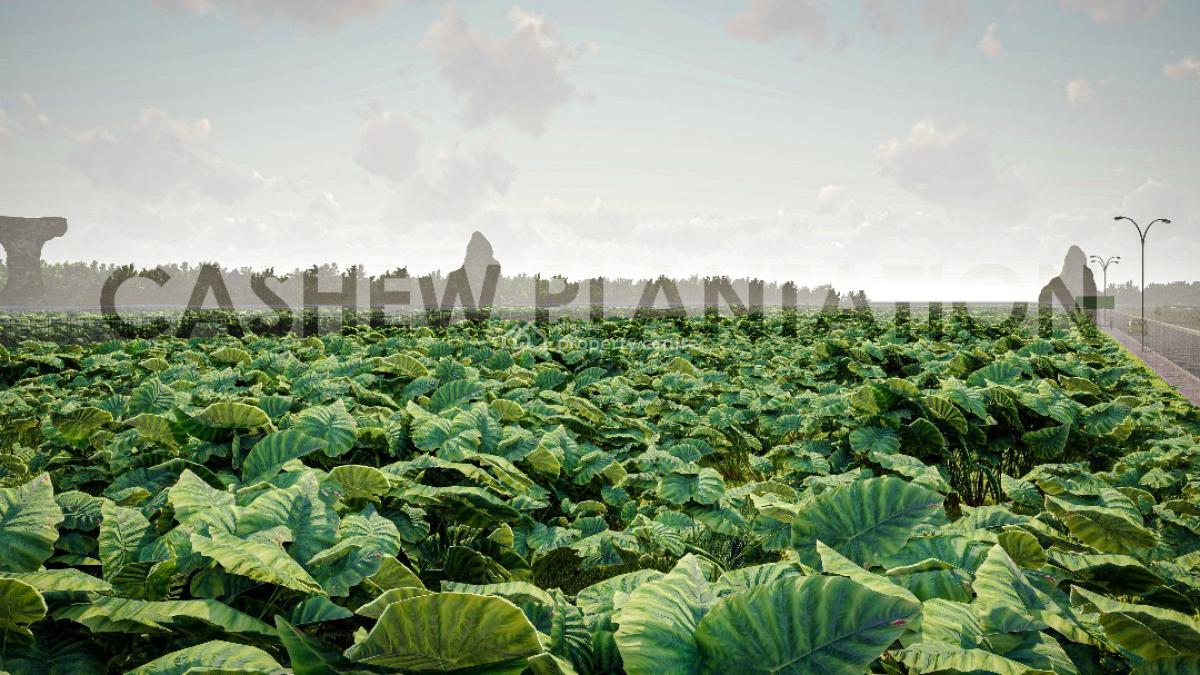Plots & Acres of Fertile Farmland with a Promo Offer & a Payment Plan, Fertile Land Suitable for Crop Farming.buy 6 Plots , Get 1 Plot Free, Abeokuta North, Ogun, Land for Sale
