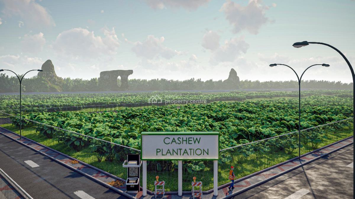 Plots & Acres of Fertile Farmland with a Promo Offer & a Payment Plan, Fertile Land Suitable for Crop Farming.buy 6 Plots , Get 1 Plot Free, Abeokuta North, Ogun, Land for Sale