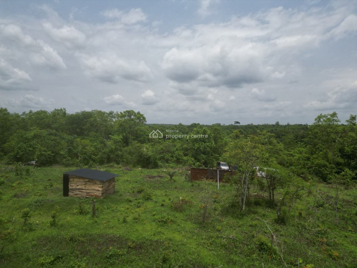 Plots & Acres of Fertile Farmland with a Promo Offer & a Payment Plan, Fertile Land Suitable for Crop Farming.buy 6 Plots , Get 1 Plot Free, Abeokuta North, Ogun, Land for Sale