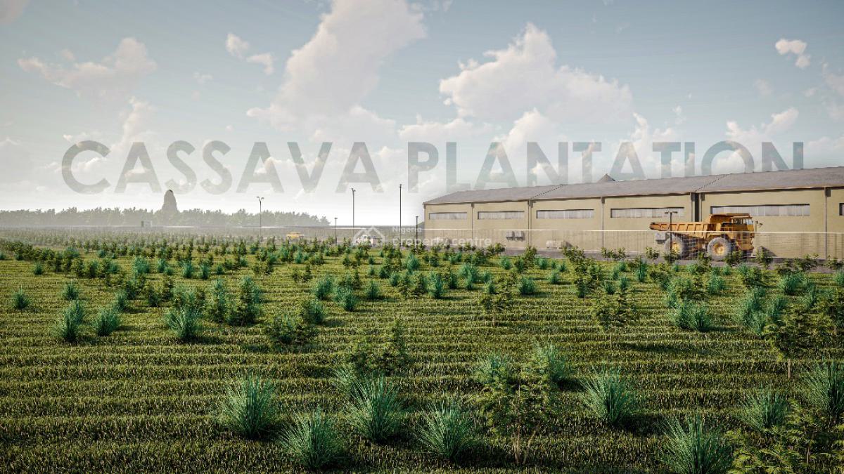 Acres and Hectares of Land with a Promo Offer & Flexible Payment Plan, Affordable Fertile Land with a Promo Offer, Close to Funaab , Alabata, Abeokuta North, Ogun, Mixed-use Land for Sale
