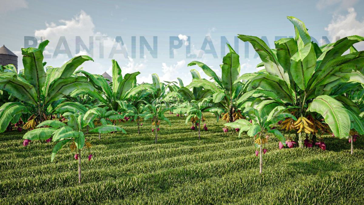 Acres and Hectares of Land with a Promo Offer & Flexible Payment Plan, Affordable Fertile Land with a Promo Offer, Close to Funaab , Alabata, Abeokuta North, Ogun, Mixed-use Land for Sale