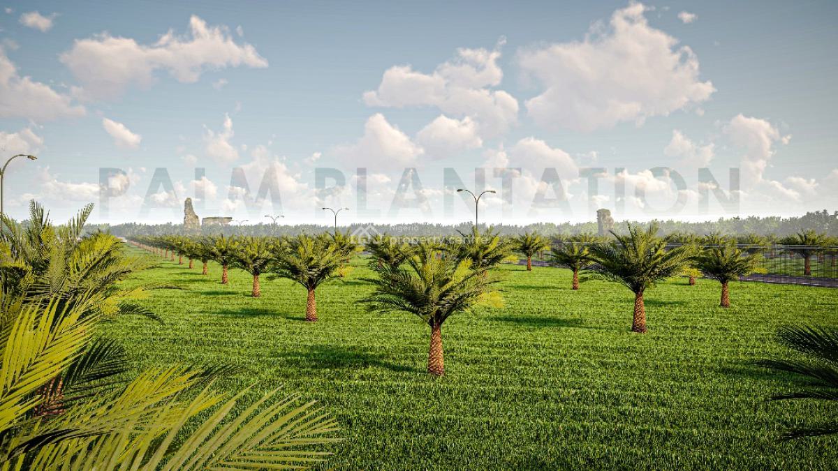 Acres and Hectares of Land with a Promo Offer & Flexible Payment Plan, Affordable Fertile Land with a Promo Offer, Close to Funaab , Alabata, Abeokuta North, Ogun, Mixed-use Land for Sale