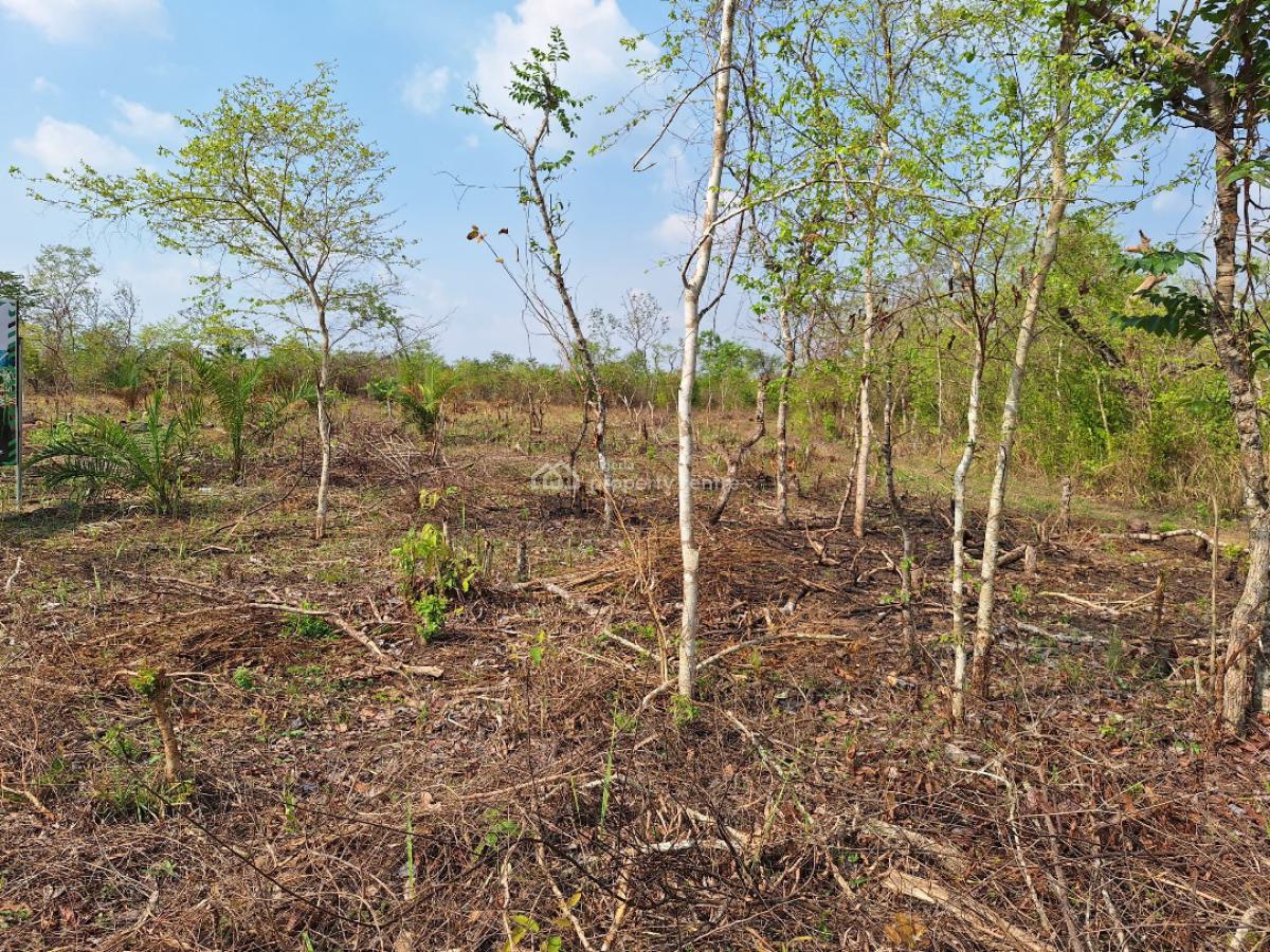 Promo!!! Get Paid on Your Agricultural Plots Without Farming, Off Funaab Alabata Road, Abeokuta North, Ogun, Land for Sale