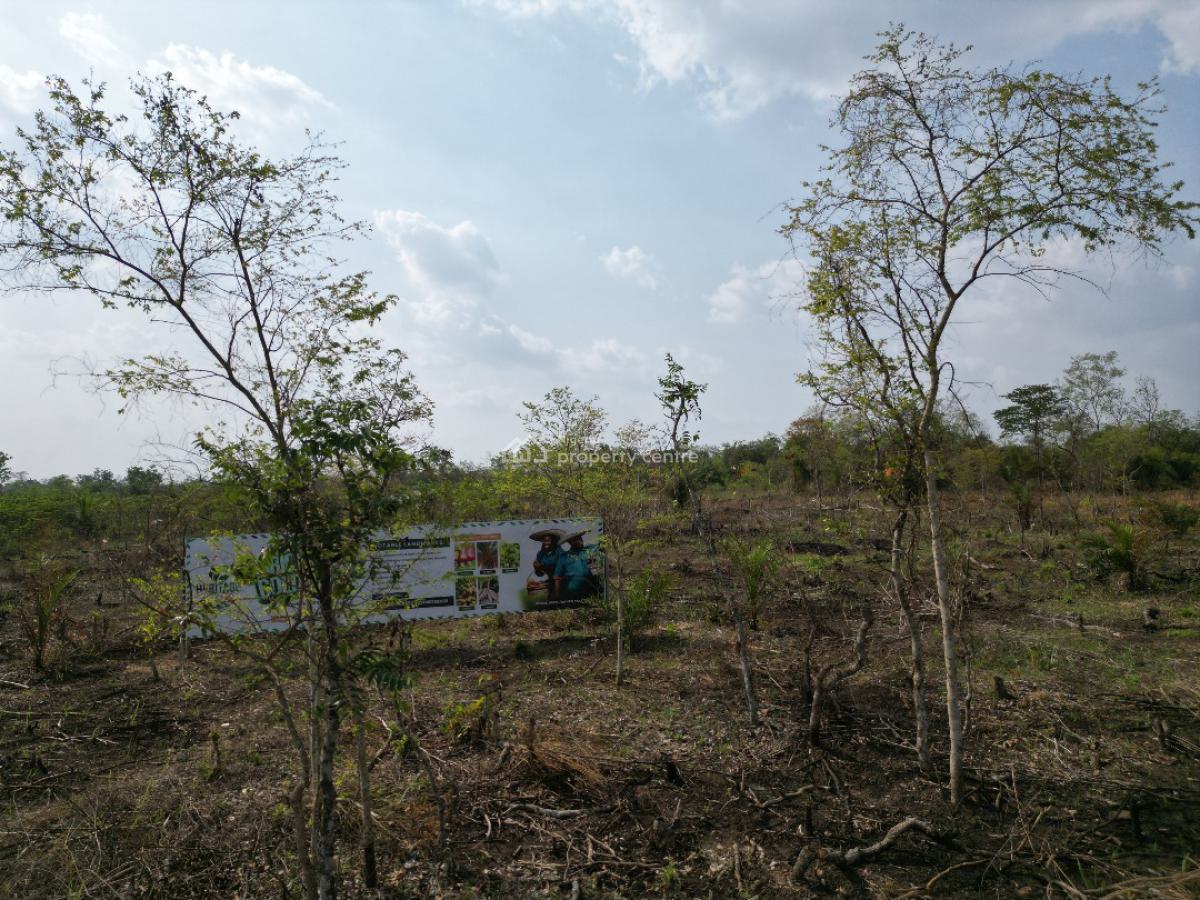 Affordable Farm Land with High Returns on Investment, Off Funaab, Alabata Road, Odeda, Ogun, Mixed-use Land for Sale