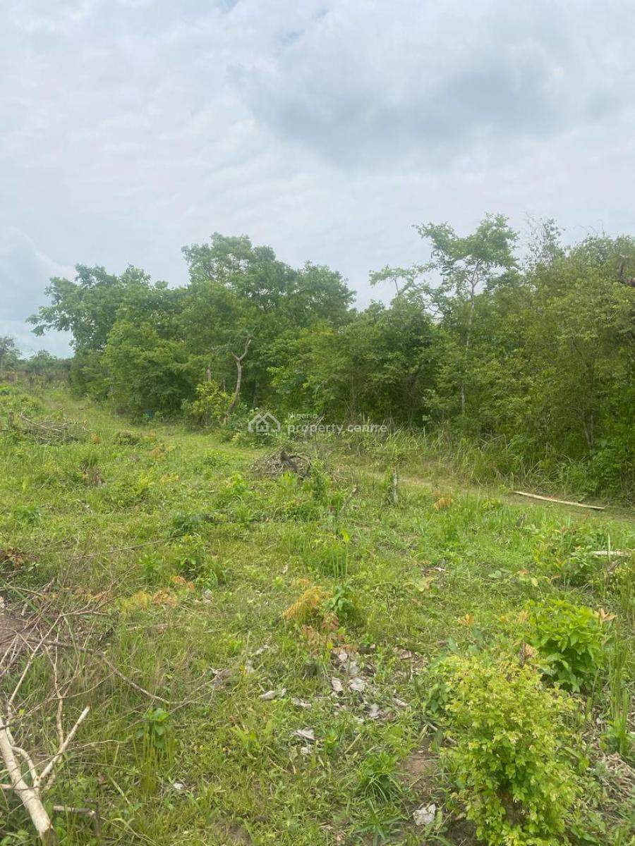 Do You Too Can Make a Lot of Money From Agriculture* ‍, Off Funnab Alabata, Abeokuta South, Ogun, Mixed-use Land for Sale