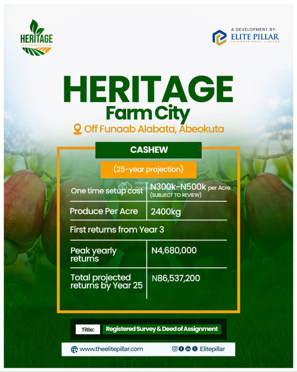 Invest in Fertile Farm Land and Earn Up to #1.5million Annually, Alabata, Abeokuta North, Ogun, Land for Sale