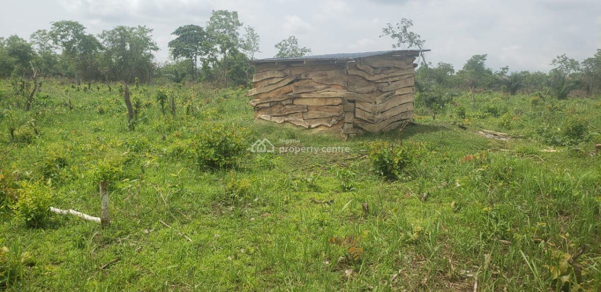 Own Acres of Farmland and Earn a Lot From Agriculture Without Stress, Off Funaab, Alabata Road, Odeda, Ogun, Mixed-use Land for Sale