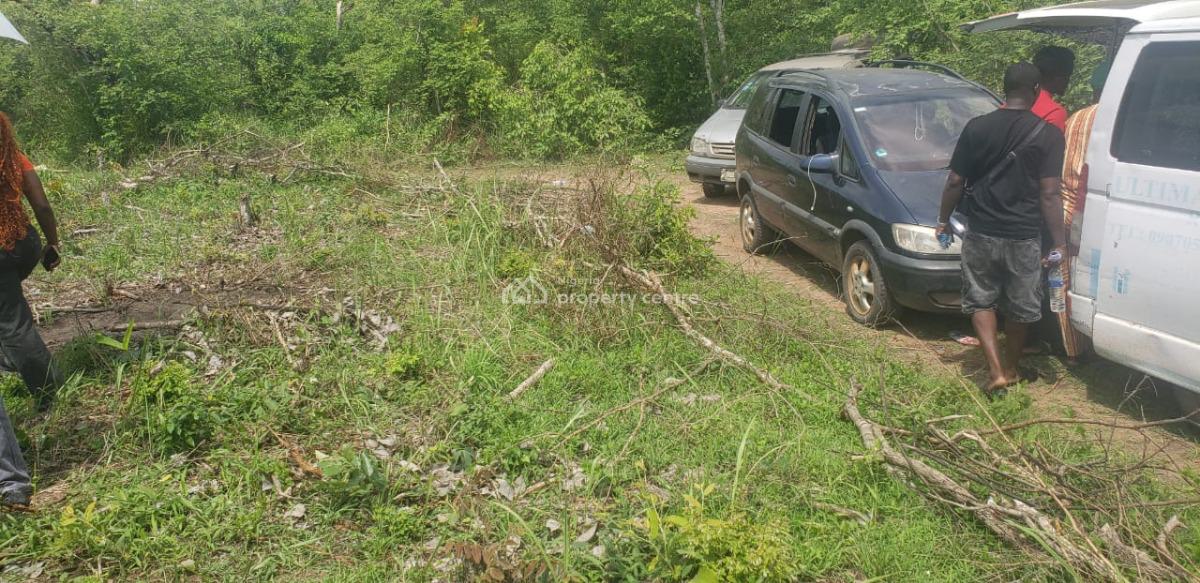 Own Acres of Farmland and Earn a Lot From Agriculture Without Stress, Off Funaab, Alabata Road, Odeda, Ogun, Mixed-use Land for Sale