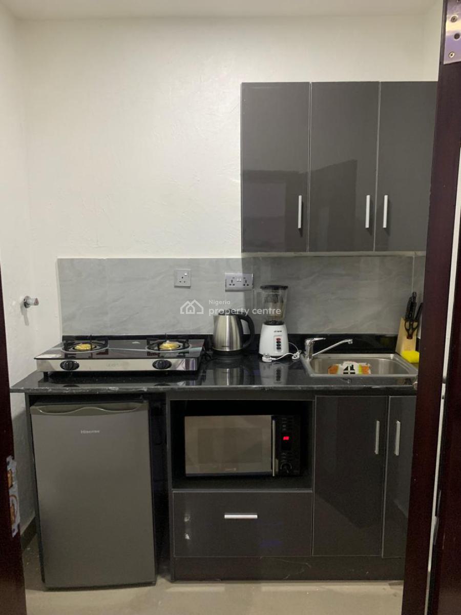 Fully Serviced and Furnished 1 Bedroom Apartment, Off Ligali Ayorinde Street, Victoria Island (vi), Lagos, Mini Flat (room and Parlour) for Rent