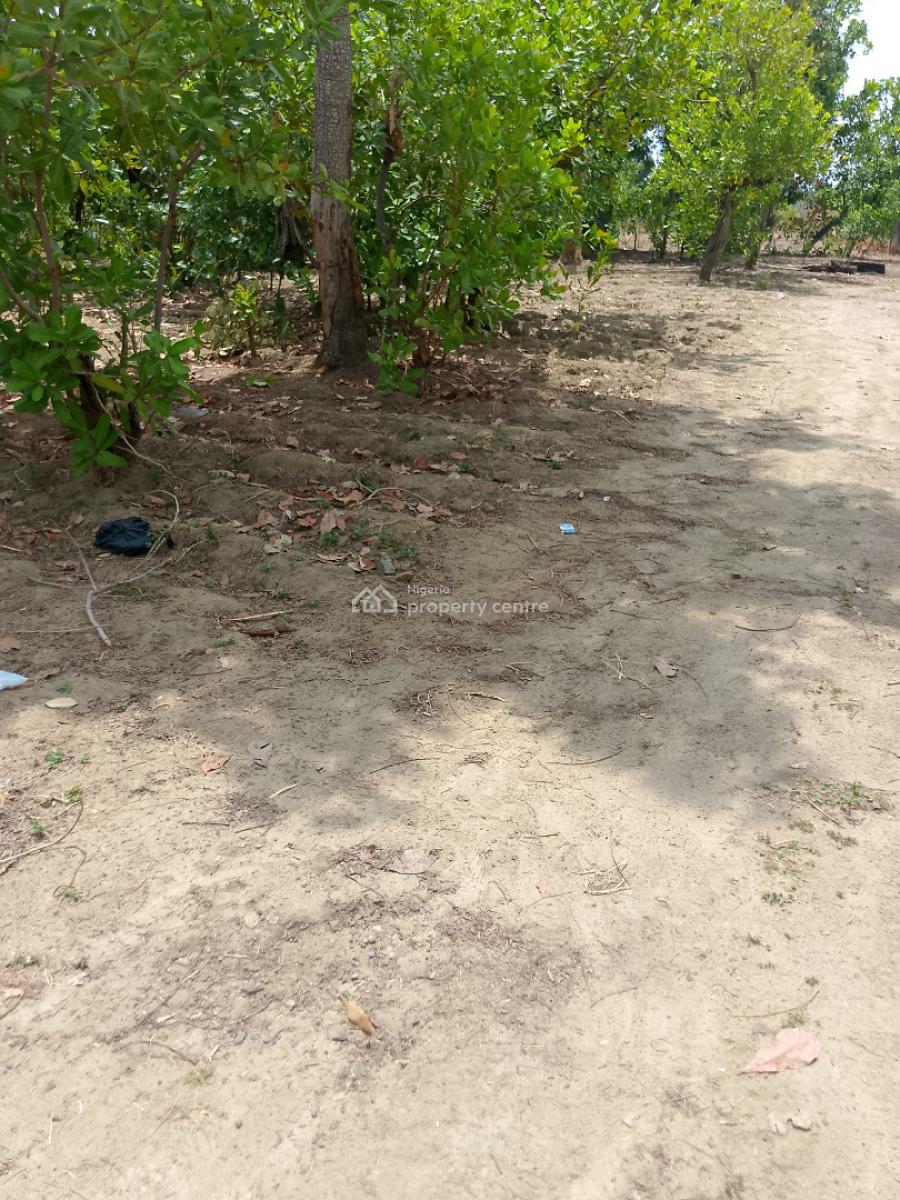 1 Hectare, Kuchiyako, Kuje, Abuja, Mixed-use Land for Sale