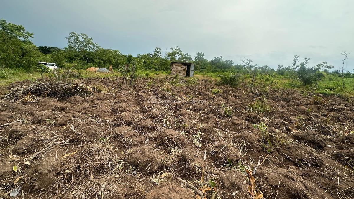 Affordable Farmland with Full Management Invest and Earn Without Stres, Buy Farmland, We Handle The Rest at Heritage Farm City, Relax & Earn!, Abeokuta South, Ogun, Commercial Land for Sale