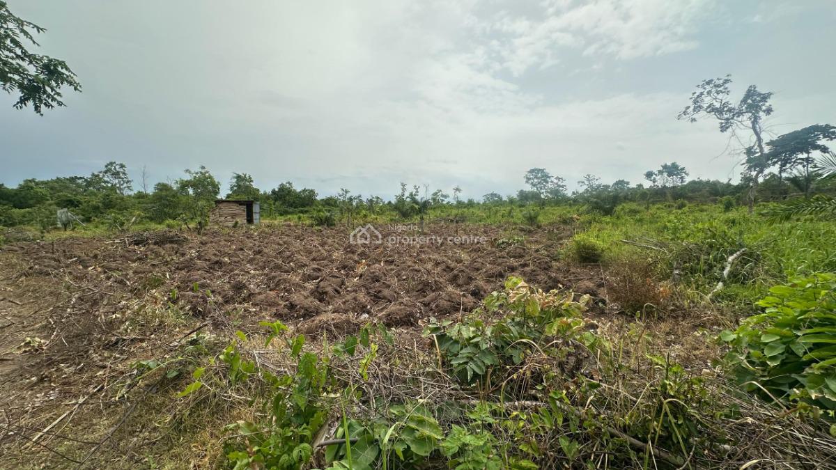 Invest Is Fertile Farmland and Earn Up to #1.5million Annually, Alabata, Abeokuta North, Ogun, Land for Sale