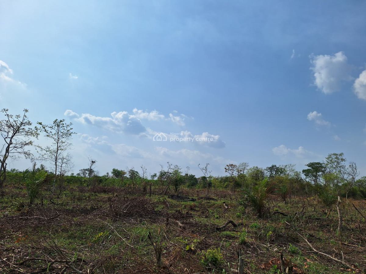 Promo!!! Affordable Farm Land with High Returns on Investment, Off Funaab Alabata Road, Abeokuta North, Ogun, Land for Sale