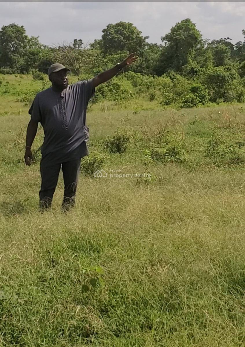 Acres of Land in Peace Estate, Ifo, Ogun, Mixed-use Land for Sale