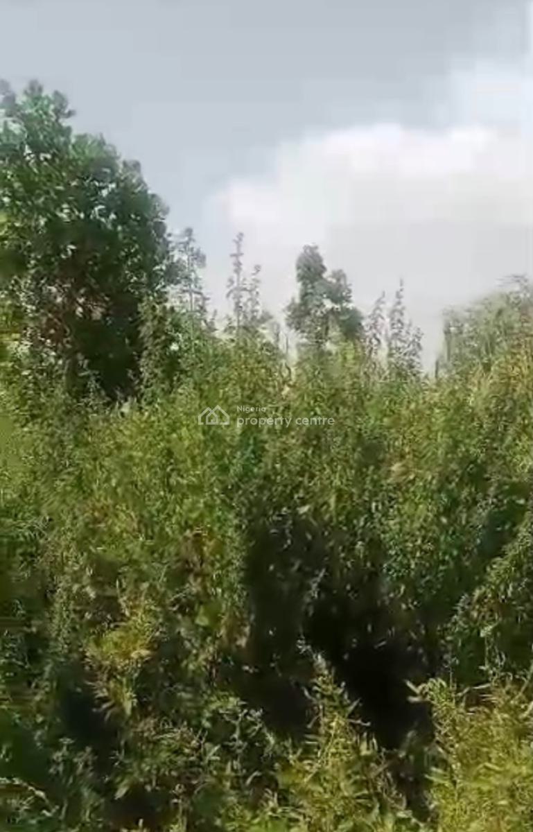 a Standard, Sharp Land, Medina Estate, Gbagada, Lagos, Mixed-use Land Joint Venture