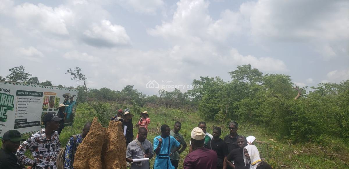 Secure Your Own Farm Land Today and Start Growing, Off Funaab, Alabata Road, Odeda, Ogun, Mixed-use Land for Sale