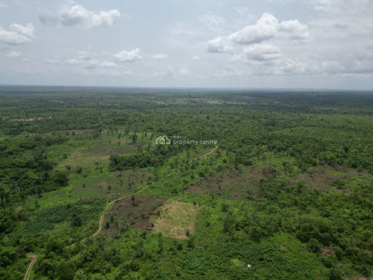 Get Your Own Hectares of Farmland and Start Cultivating, Off Funaab, Alabata Road, Odeda, Ogun, Mixed-use Land for Sale