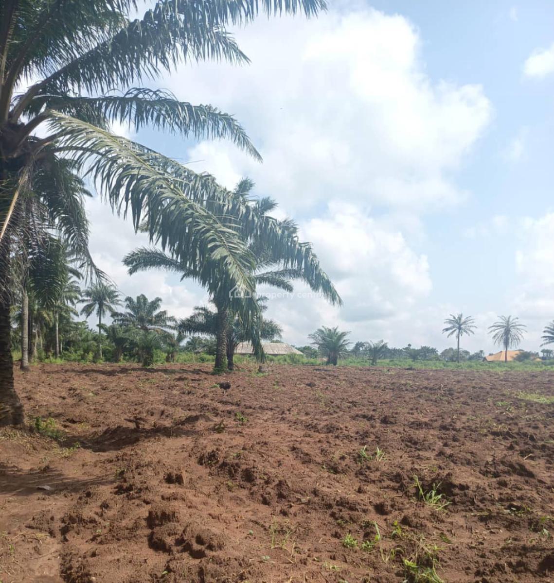 Affordable Acres Deal in Good Area, Off Lusada - Agbara Road, By Lusada Market, Agbara, Ado-odo/ota, Ogun, Mixed-use Land for Sale