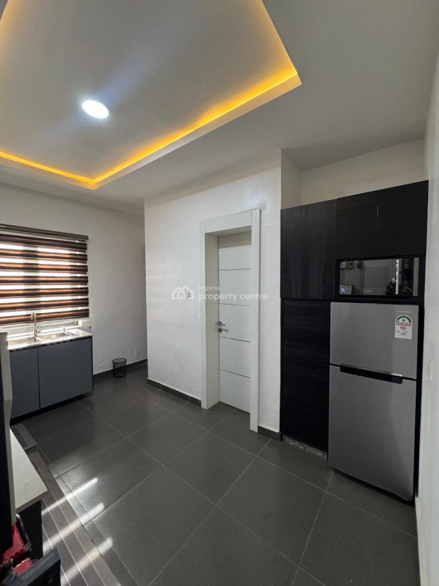 Tastefully Furnished 2 Bedroom Apartment, Ikate, Ikate, Lekki, Lagos, Flat / Apartment for Rent