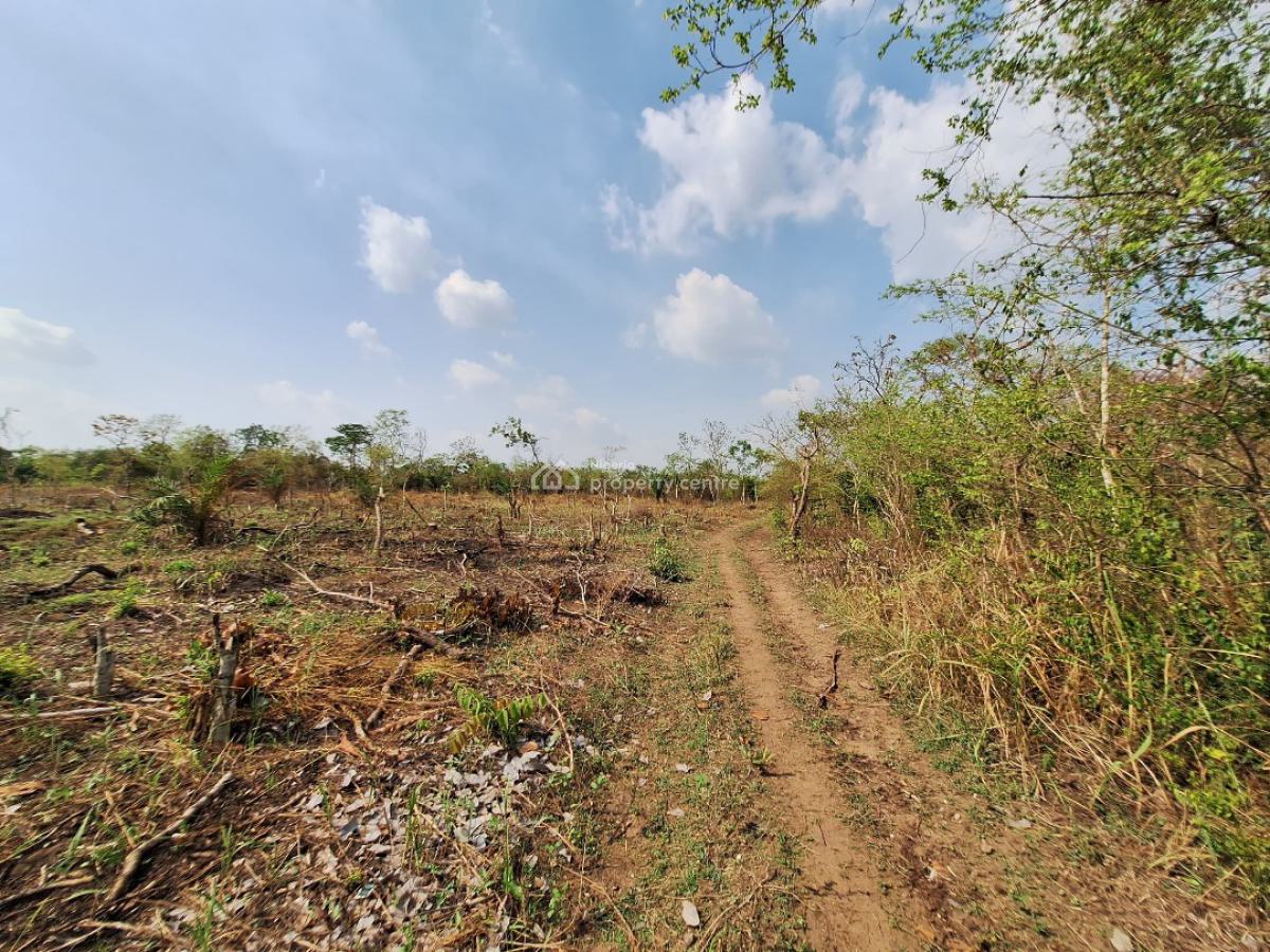 Promo!!! Get Paid on Your Agricultural Plots Without Farming, Off Funaab Alabata Road, Abeokuta North, Ogun, Land for Sale