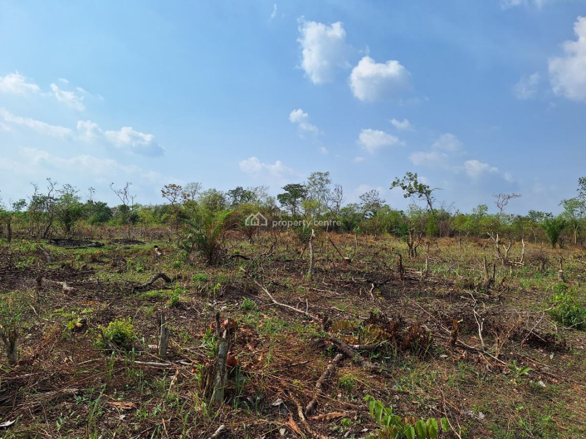 Promo!!! Affordable Farm Land with High Returns on Investment, Off Funaab Alabata Road, Abeokuta North, Ogun, Land for Sale