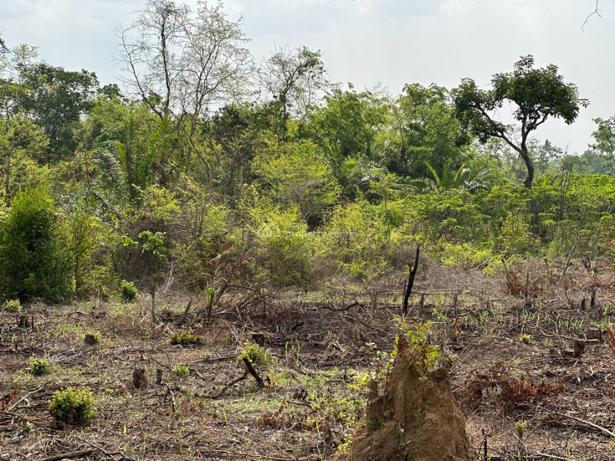 Promo!!! Affordable Farm Land with High Returns on Investment, Off Funaab Alabata Road, Abeokuta North, Ogun, Land for Sale