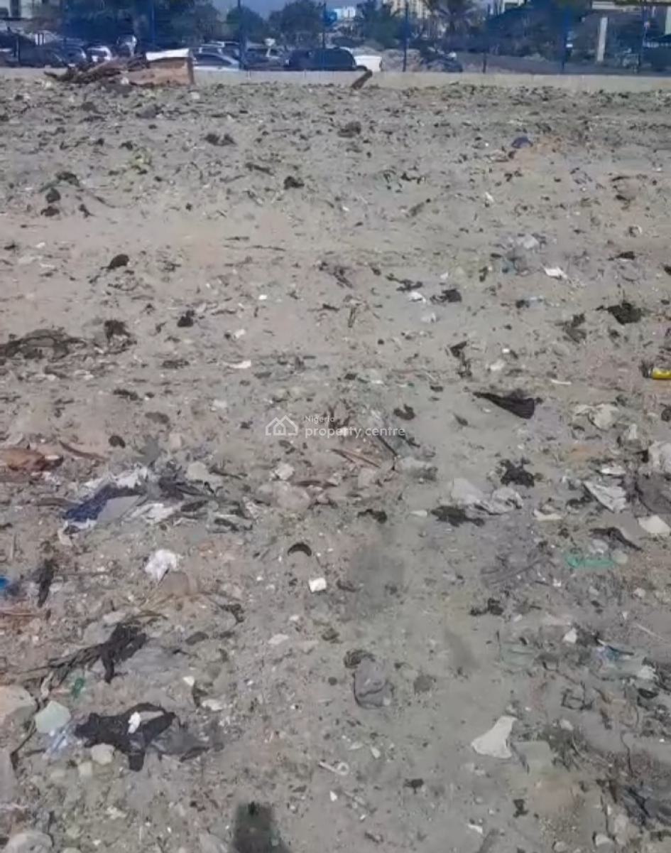 Land in a Fantastic Location Facing The Express Way, Lekki, Lagos, Commercial Land for Rent