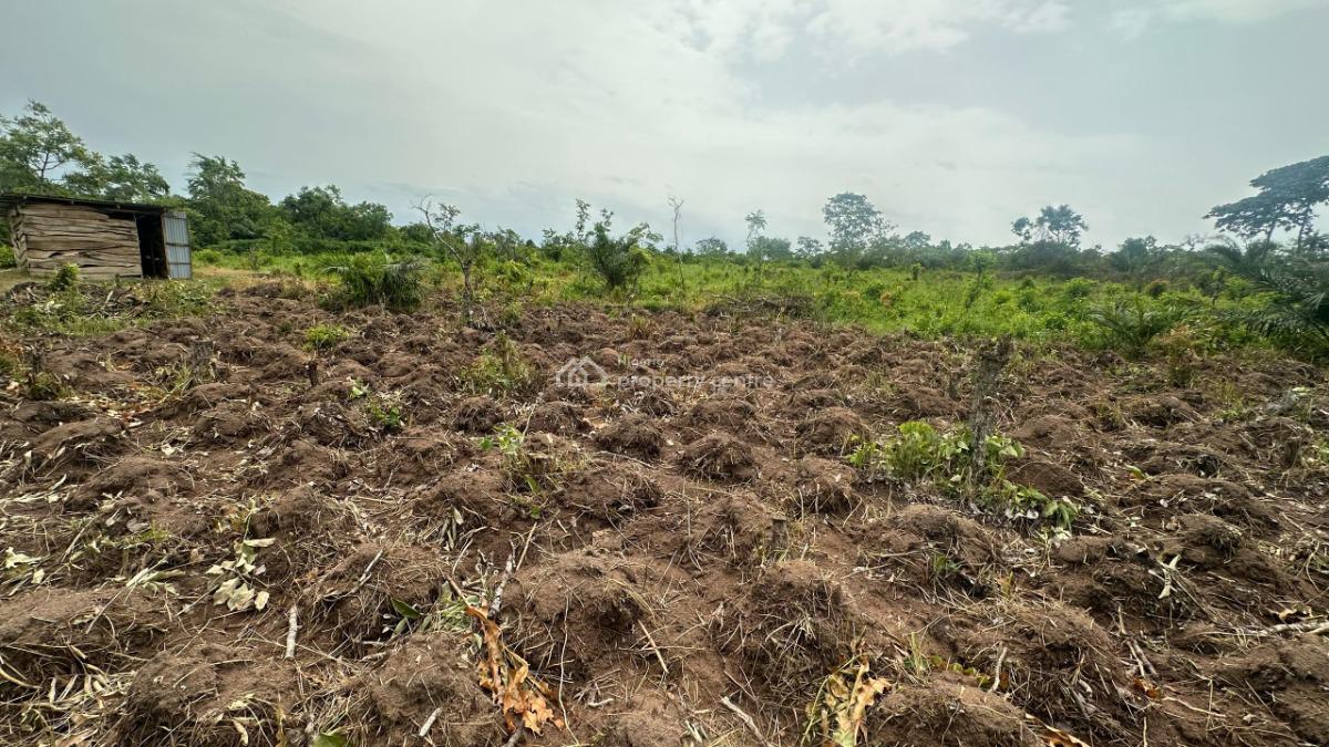 Get Your Own Farmland Without Breaking The Bank, Off Funaab, Alabata Road, Odeda, Ogun, Mixed-use Land for Sale