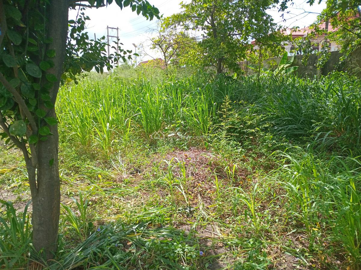 a Full Plot Residential Plot Fenced and Gated in a Securedestate, Canal Avenue, Okota, Isolo, Lagos, Residential Land for Sale