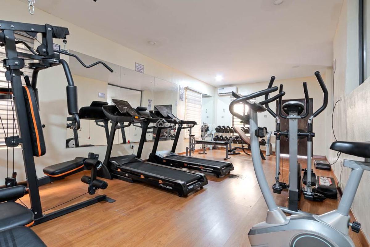 Furnished 3 Bedroom Apartment with Bq, Ikoyi, Lagos, Flat / Apartment for Rent