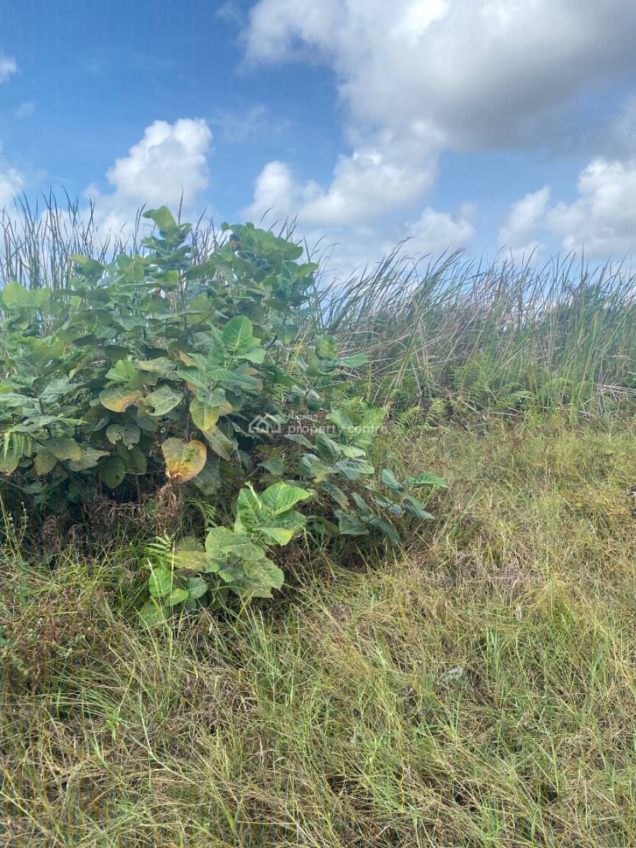 Investment Land Available, Oke Ira, Ajah, Lagos, Residential Land for Sale
