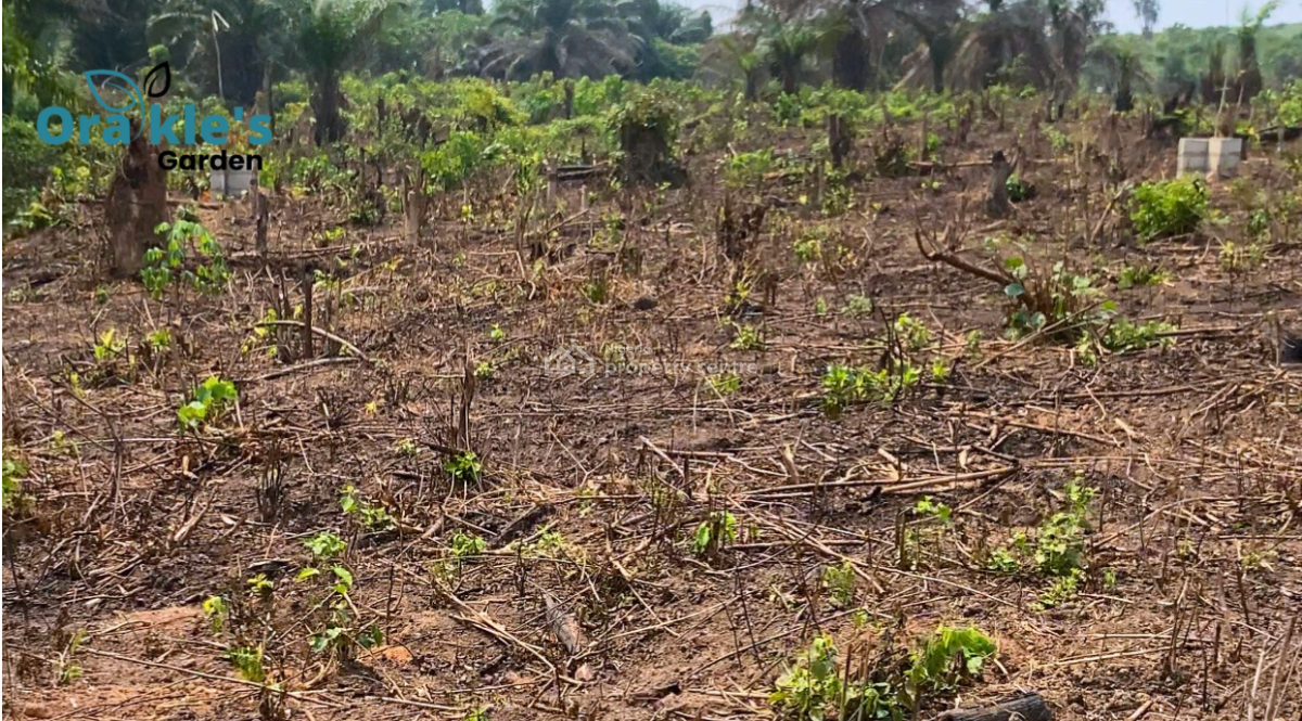 Affordable Land in a Well Developed Area with a Sweet Payment Plan, Isiwo, Epe Toll Gate, Ijebu Ode, Ogun, Mixed-use Land for Sale
