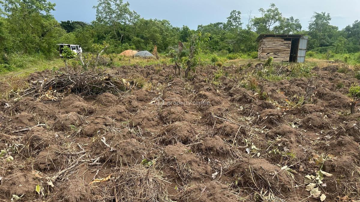 Premium Agricultural Investment Land, Abeokuta North, Ogun, Commercial Land for Sale
