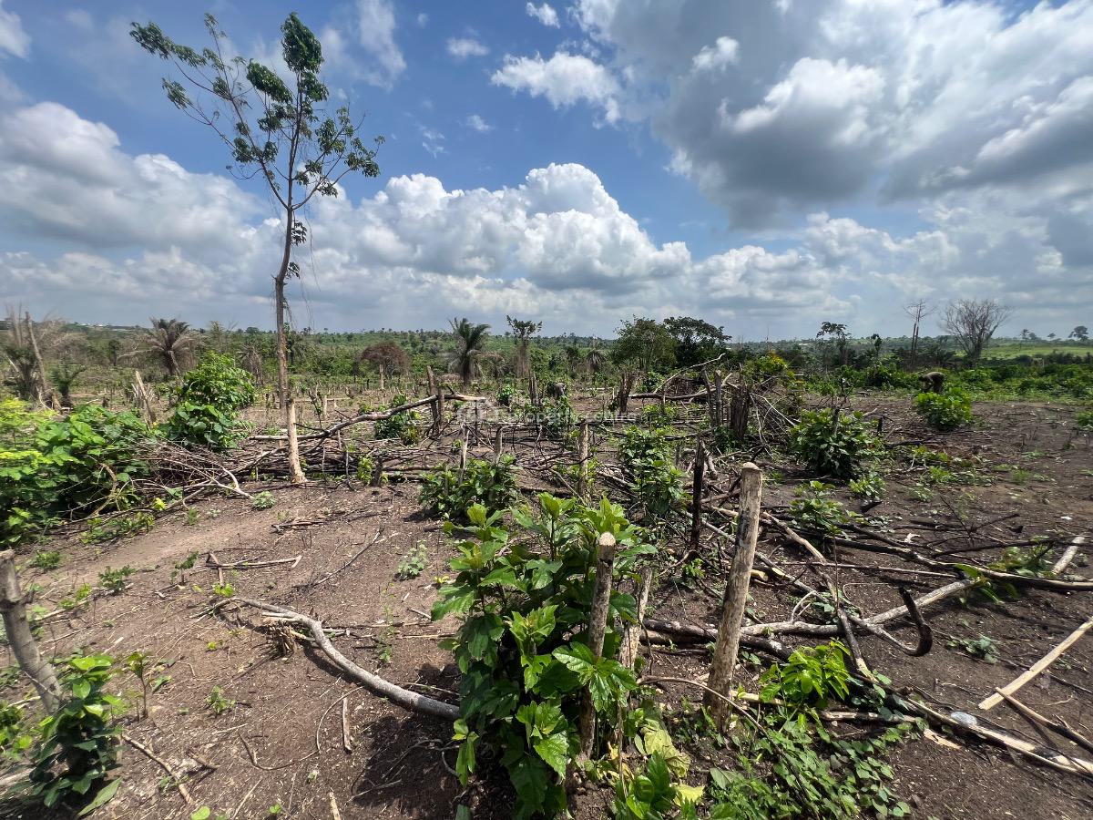 100% Dry Land with a Discount Offer and Flexible Payment Plan, Agbowa, Ikorodu, Lagos, Land for Sale
