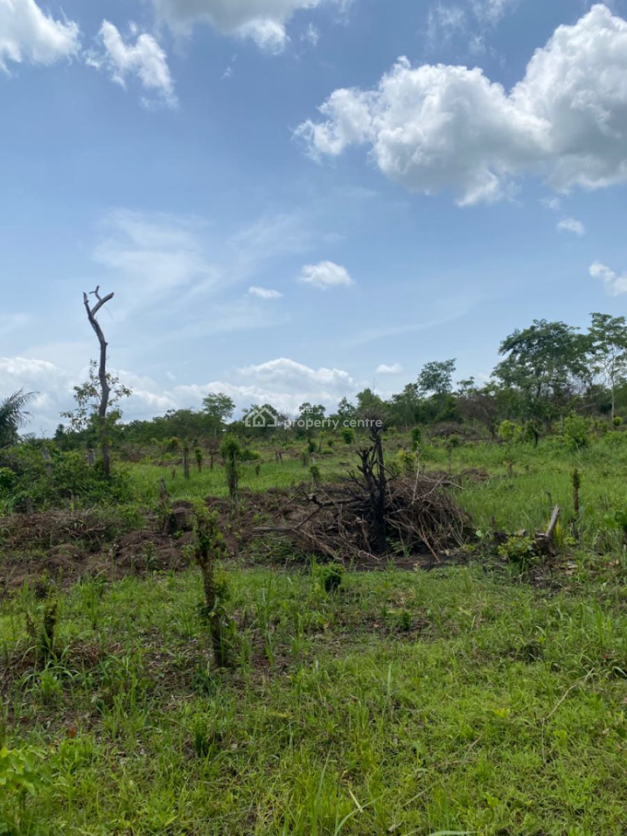 Own a Farm Land , Lets Farm for You .heritage Farm City, Off Funnab Alabata, Abeokuta North, Ogun, Mixed-use Land for Sale