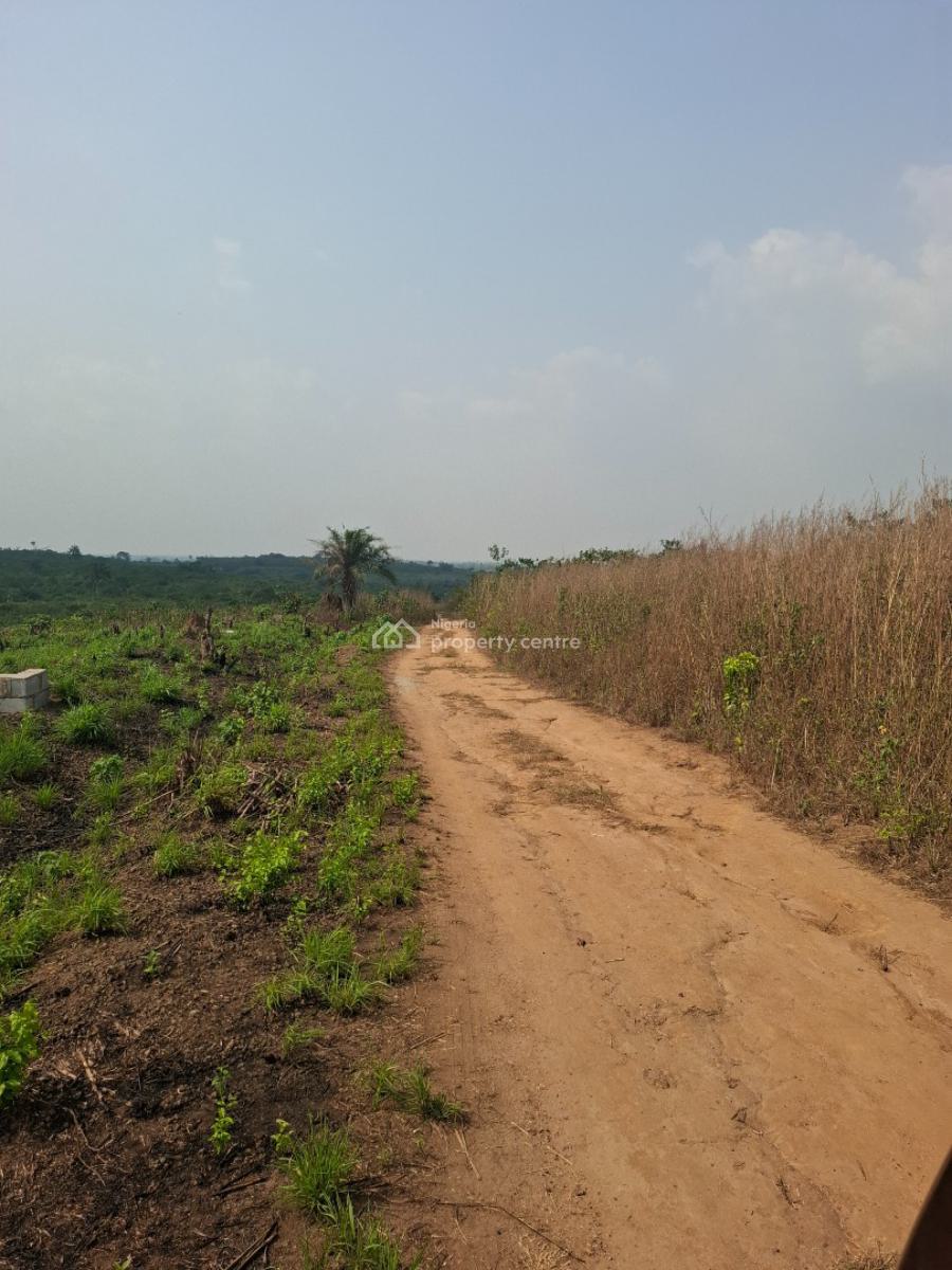 Dry Land, Isiwo, Ijebu Ode, Ogun, Residential Land for Sale