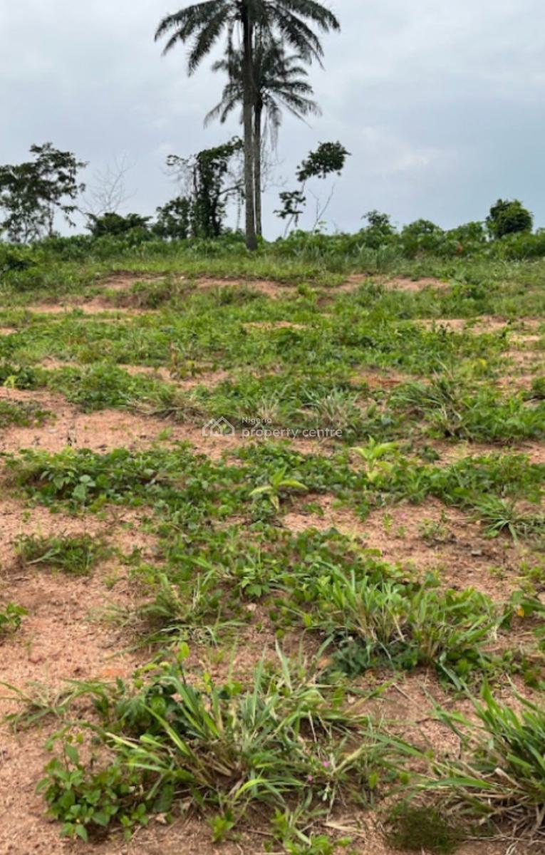 Black Friday Promo for Plots of Land Strategically Located, Ibile Residential Estates, Imota, Ikorodu, Lagos, Mixed-use Land for Sale