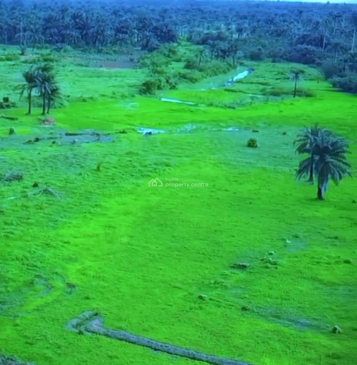 Luxury Affordable Land, Close to 2nd Niger Bridge Oshimili North, Asaba, Delta, Land for Sale
