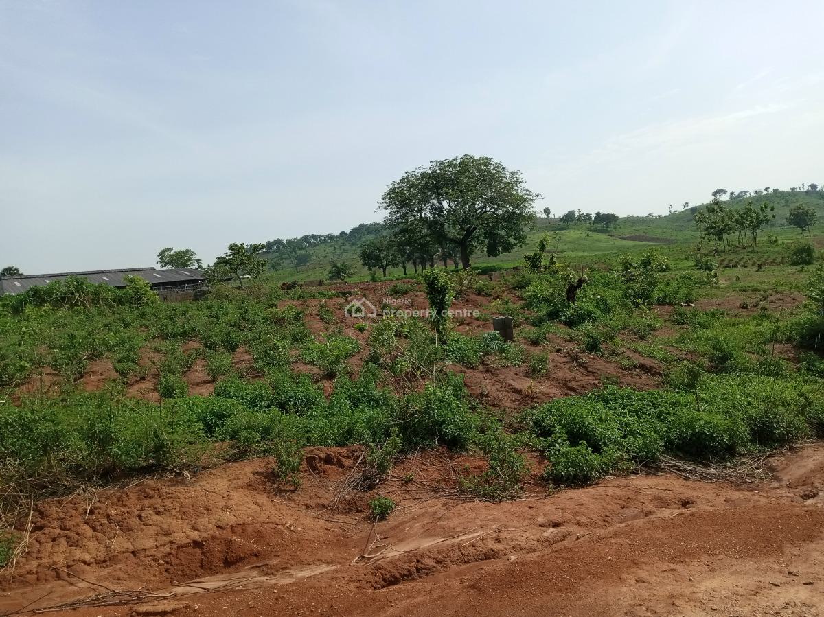 Land for 4 Bedroom Luxury Duplex+detached Bq, Asokoro District, Abuja, Residential Land for Sale
