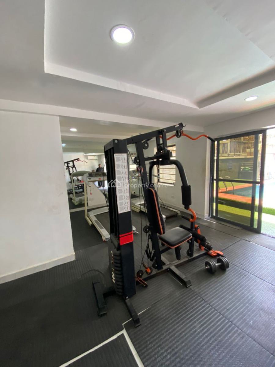 Lovely Fully Serviced Furnished 2 Bedroom Apartment, Ikate, Lekki, Lagos, Flat / Apartment for Rent