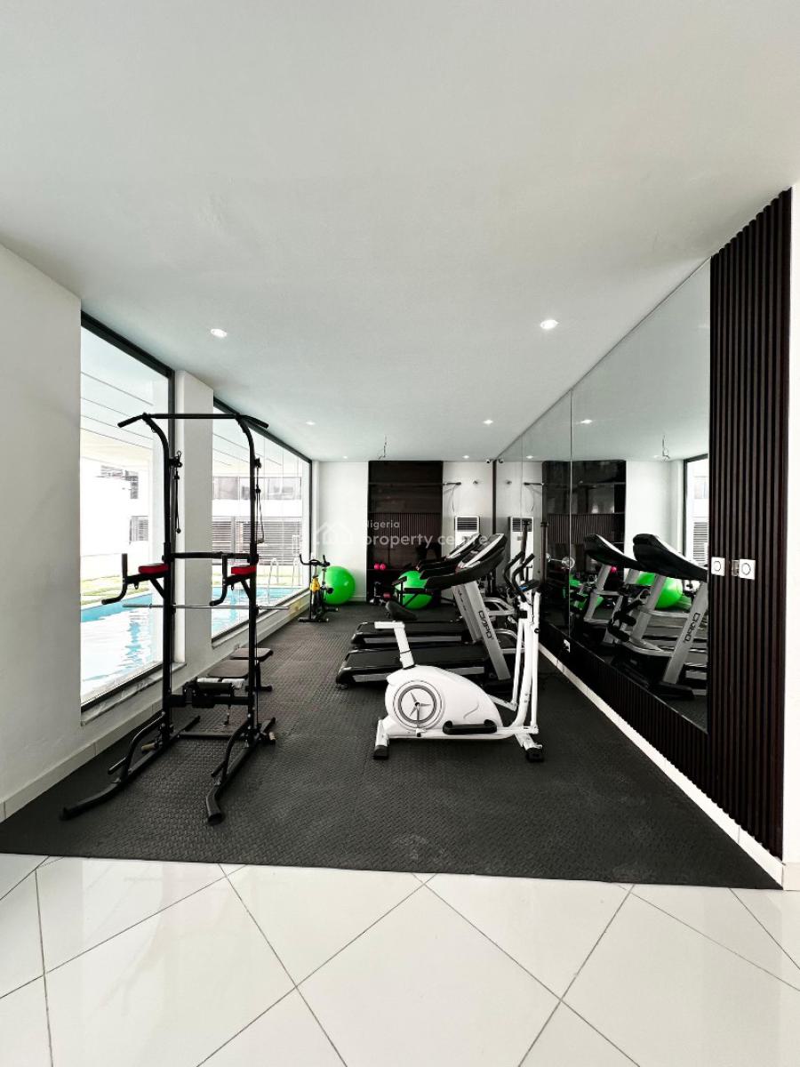 Brand New 2-bedroom Apartment with Elevator ,pool and Gym, Ikate, Lekki, Lagos, Flat / Apartment for Rent